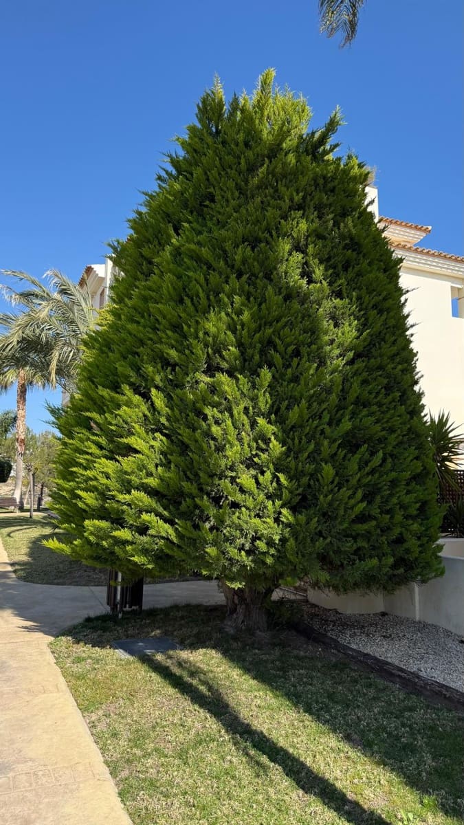 3 camera da letto Appartamento in vendita in Finestrat con piscina garage - 450.000 € (Rif: 9730953)