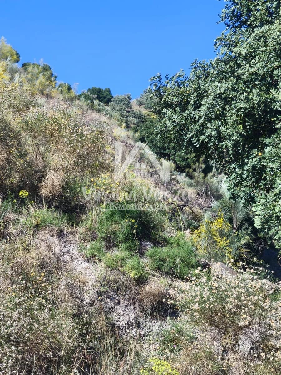 3 bedroom Finca/Country House for sale in Moclinejo - € 425,000 (Ref: 9876377)