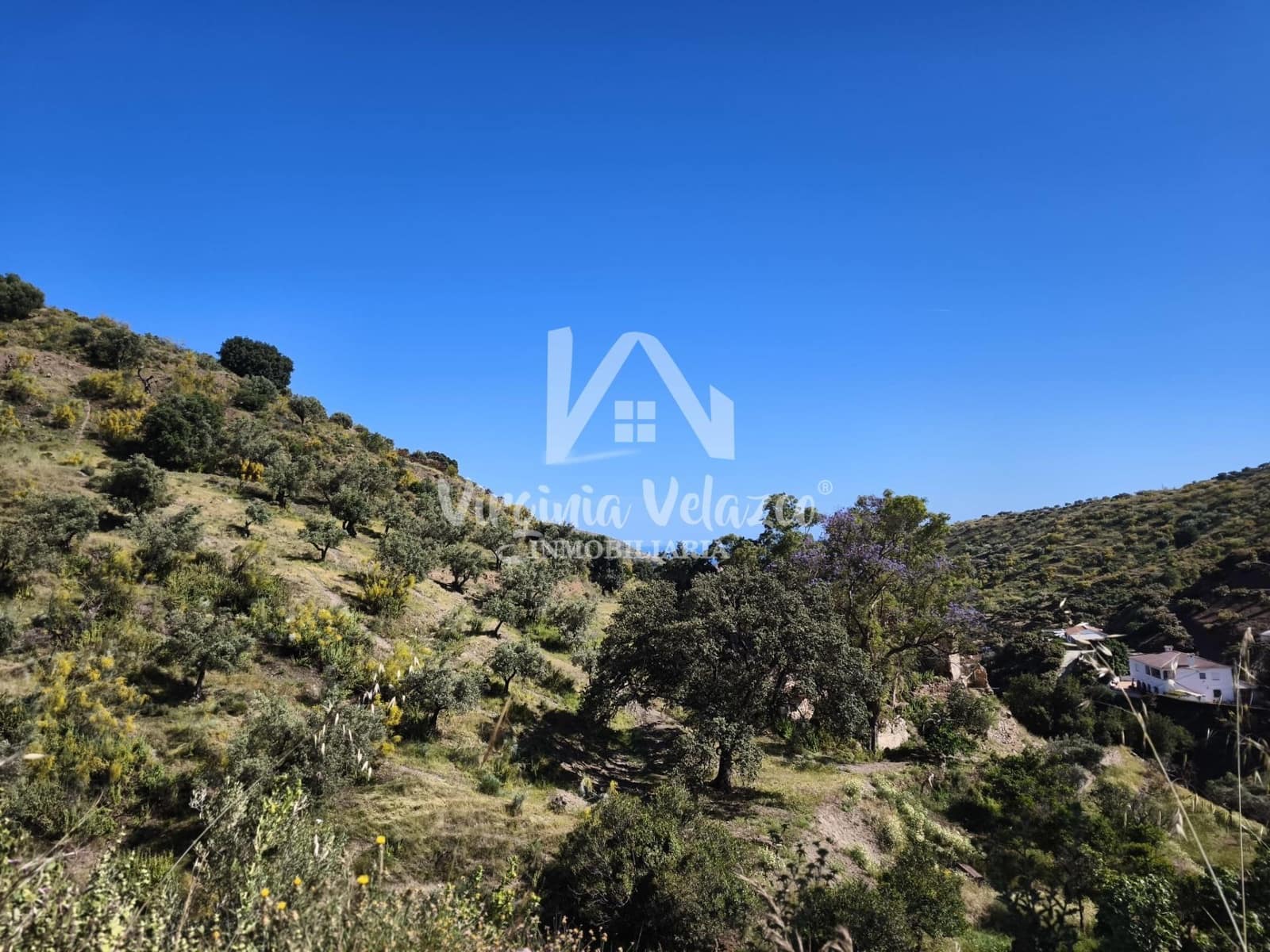 3 bedroom Finca/Country House for sale in Moclinejo - € 425,000 (Ref: 9876377)