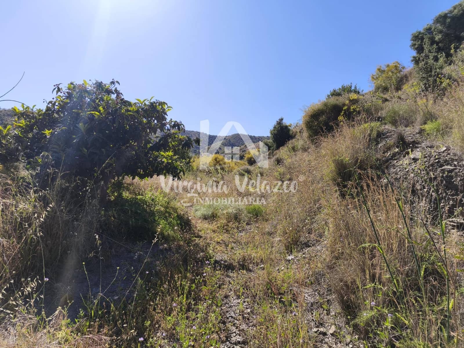 3 bedroom Finca/Country House for sale in Moclinejo - € 425,000 (Ref: 9876377)