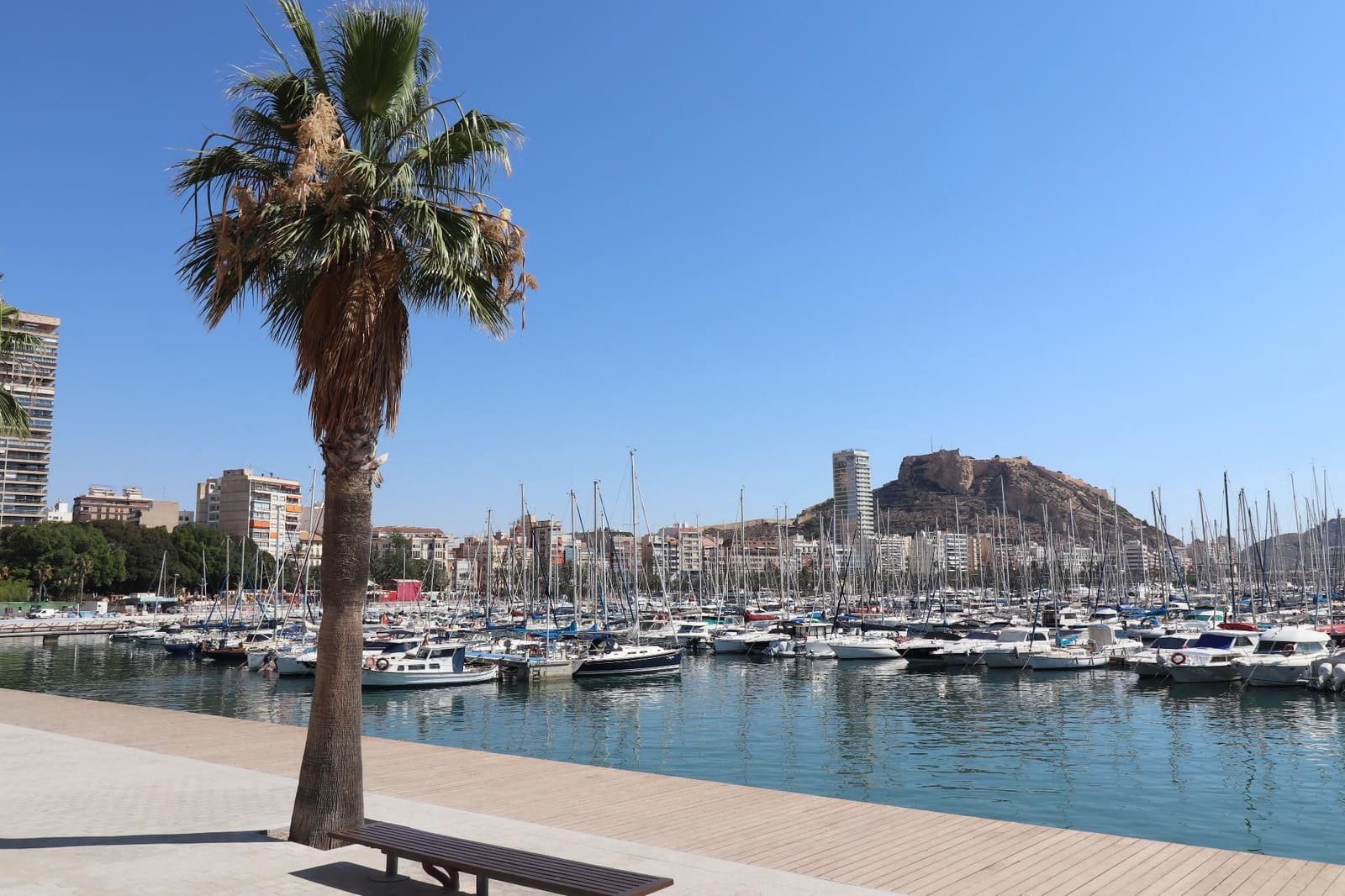 4 soveværelse Lejlighed til salg i Alicante by - € 475.000 (Ref: 8799428)