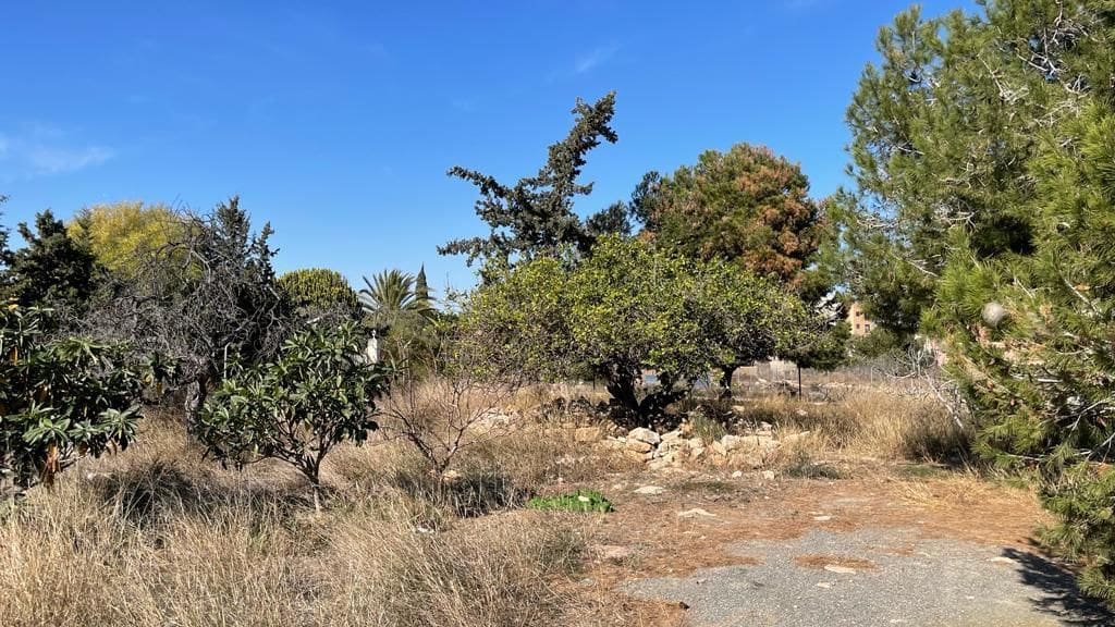 Finca/Landehus til salg i Elche / Elx - € 149.900 (Ref: 8799451)