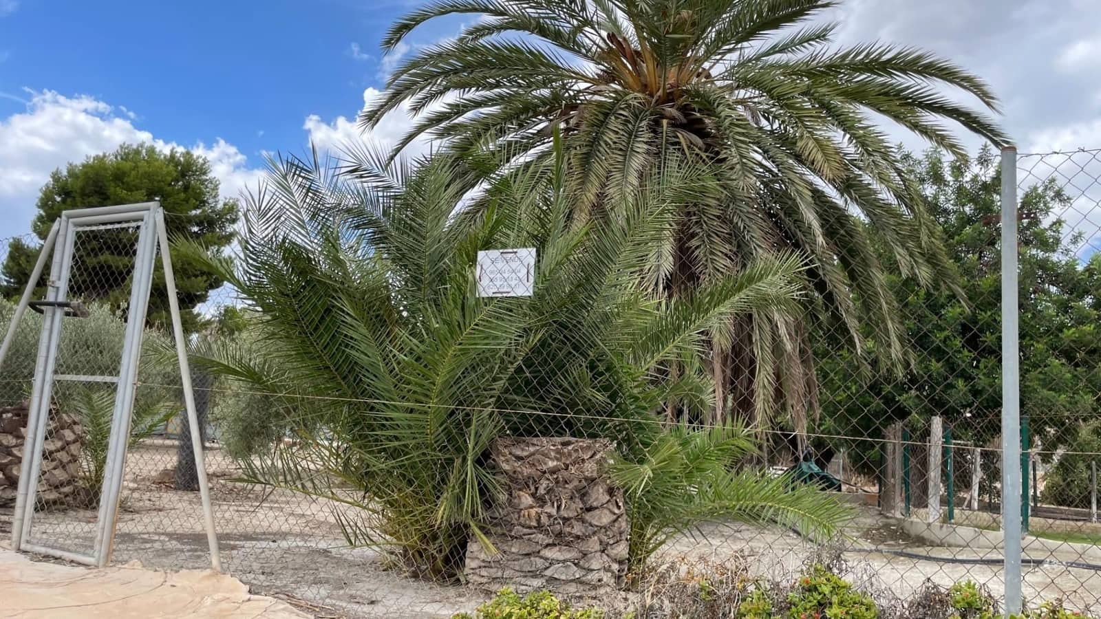 10 soveværelse Villa til salg i Alicante by med swimmingpool - € 950.000 (Ref: 8799464)