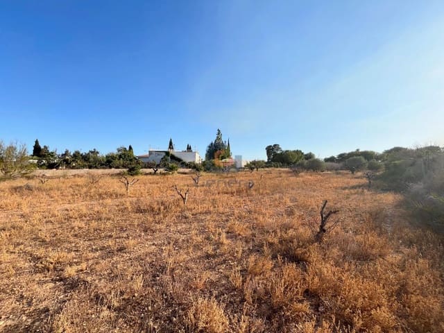 Byggetomt til salgs i San Vicente / Sant Vicent del Raspeig - € 165 000 (Ref: 9253826)