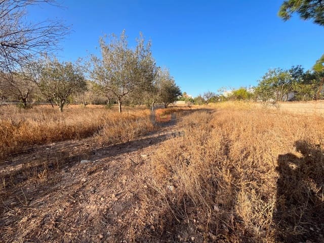 Byggetomt til salgs i San Vicente / Sant Vicent del Raspeig - € 165 000 (Ref: 9253826)