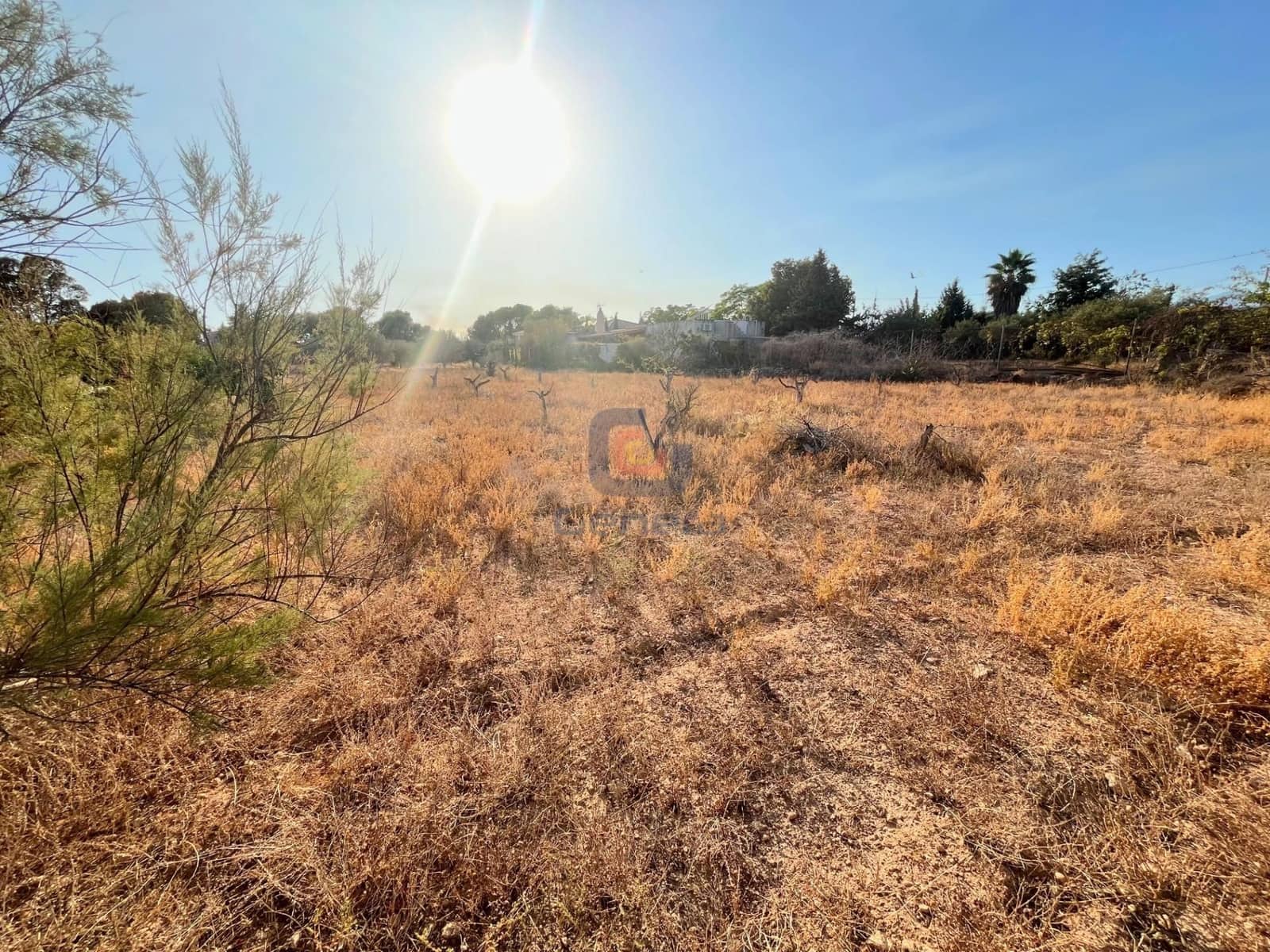 Bouwgrond te koop in San Vicente / Sant Vicent del Raspeig - € 165.000 (Ref: 9253826)