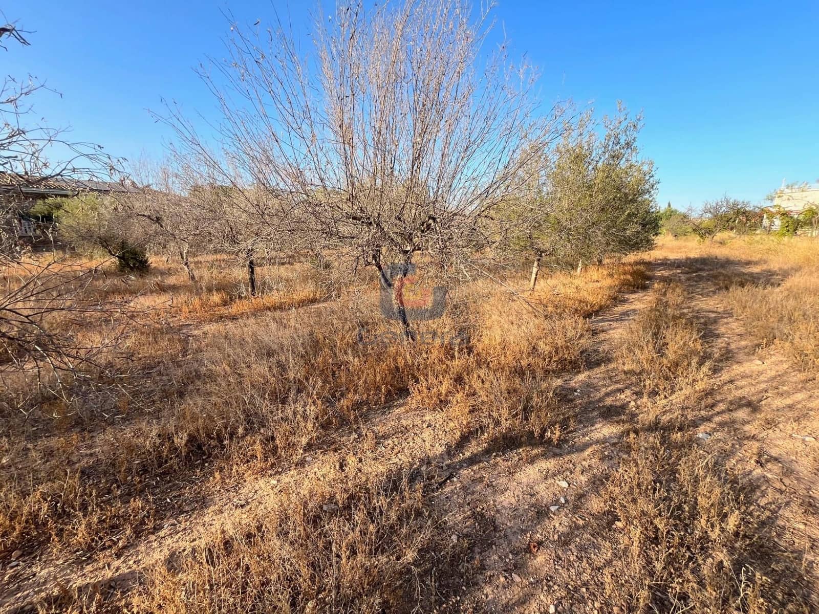 Bouwgrond te koop in San Vicente / Sant Vicent del Raspeig - € 165.000 (Ref: 9253826)