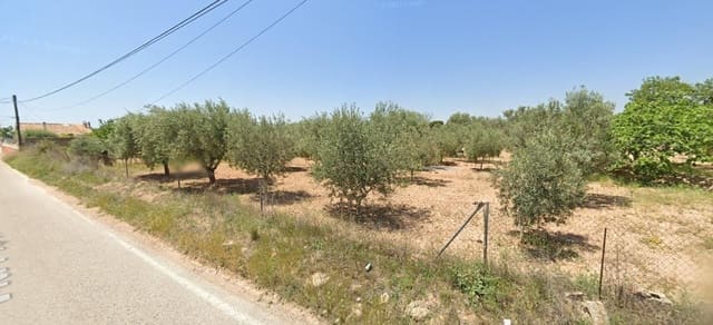 Grunde uden byggetilladelser til salg i San Vicente / Sant Vicent del Raspeig - € 43.000 (Ref: 9394470)