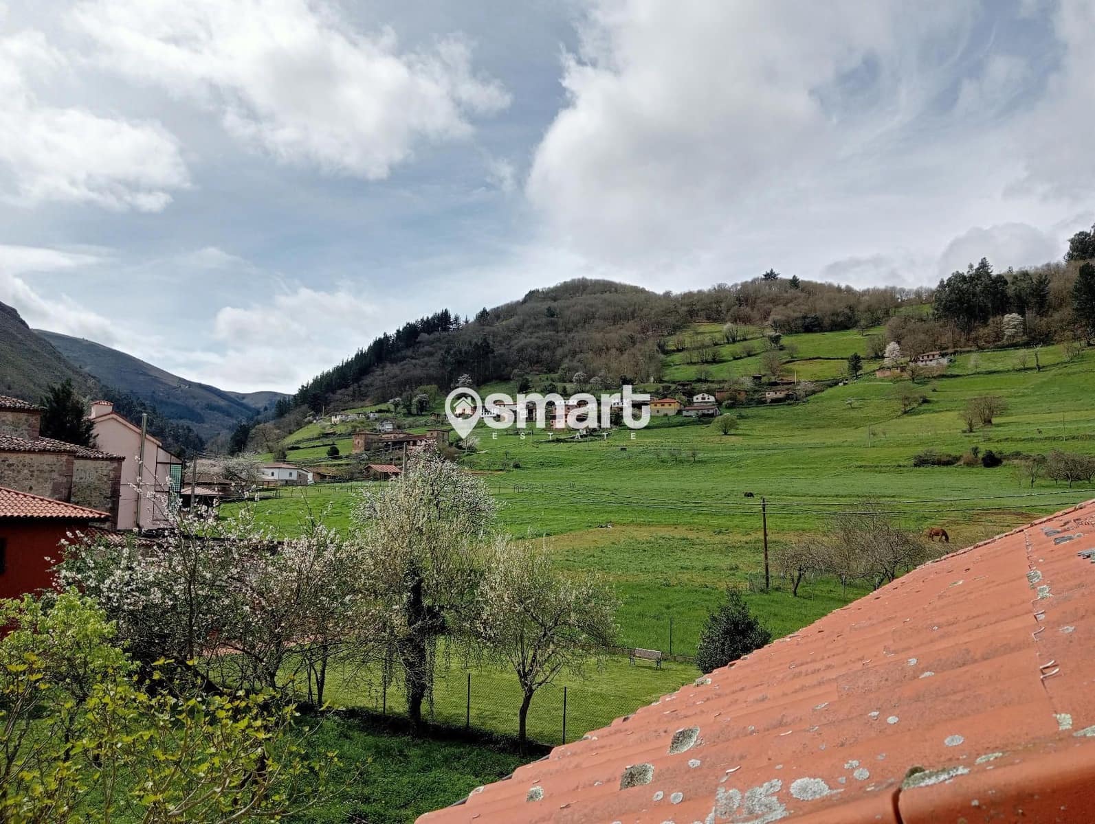 31 soveværelse Restaurant/Bar til salg i Tineo - € 325.000 (Ref: 8420132)