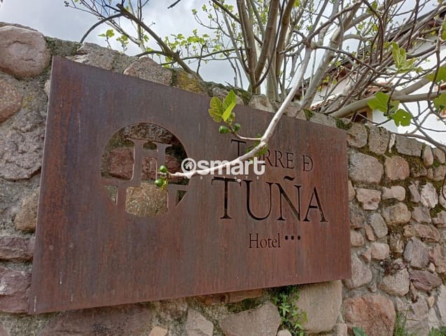 31 quarto Restaurante/Bar para venda em Tineo - 325 000 € (Ref: 8420132)
