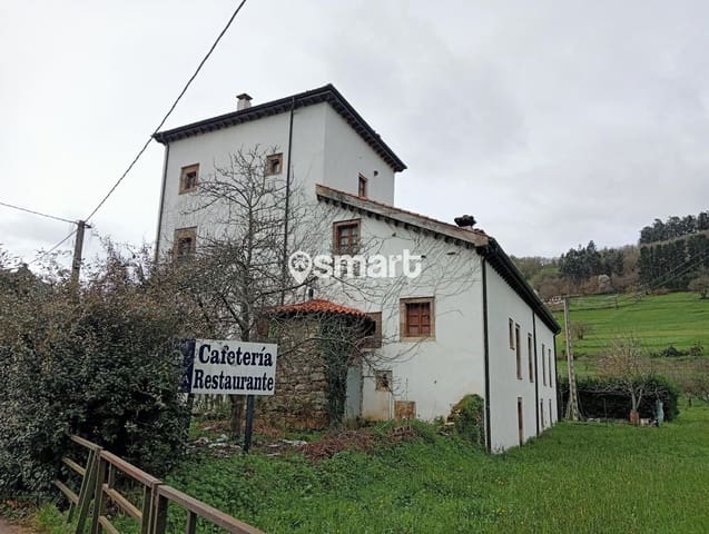 31 quarto Restaurante/Bar para venda em Tineo - 325 000 € (Ref: 8420132)