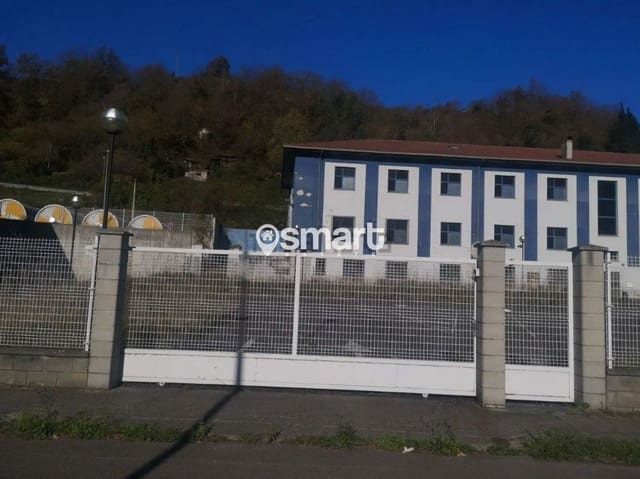 Erhverv til salg i Mieres - € 261.000 (Ref: 8644279)