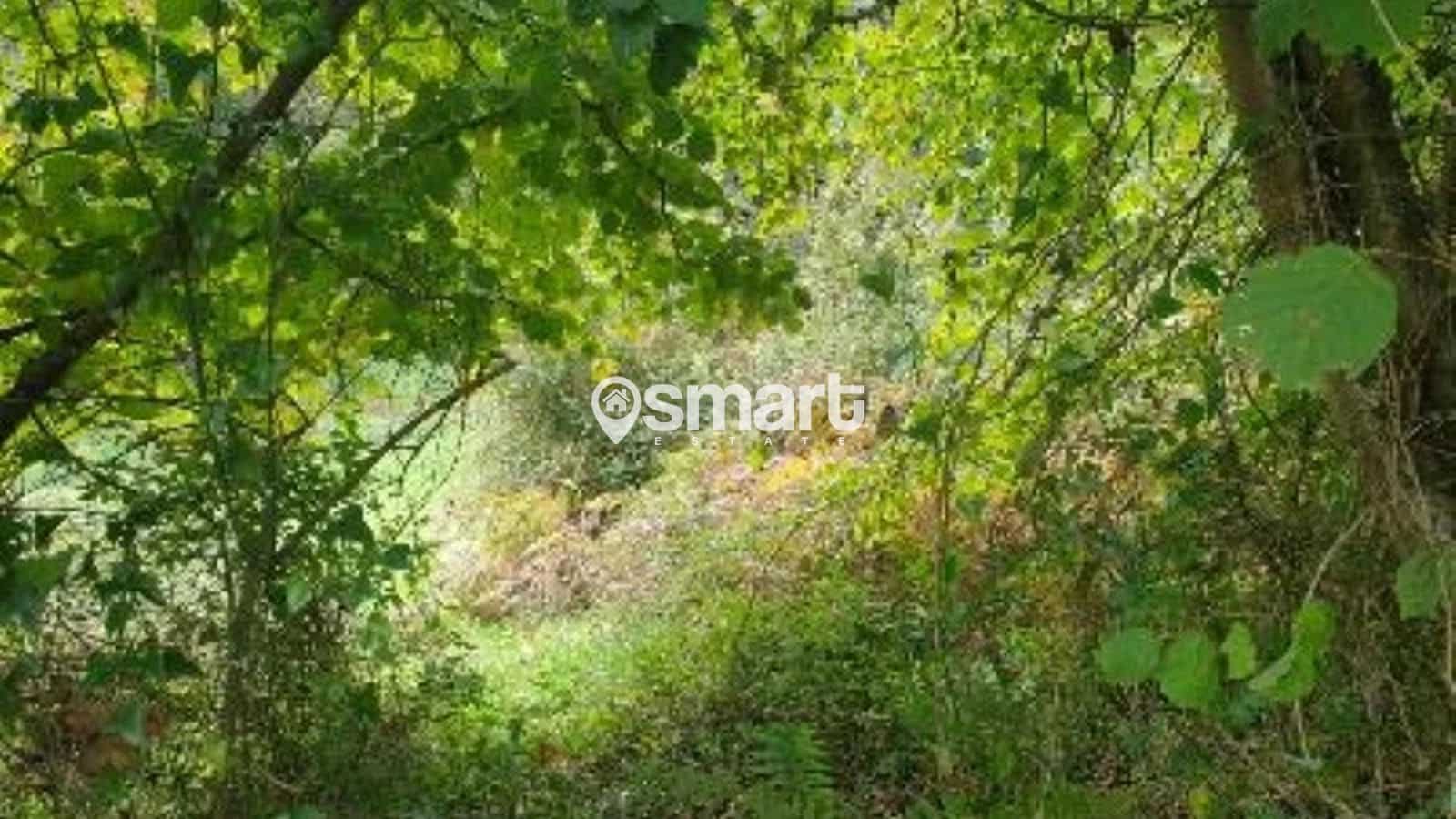 Bouwgrond te koop in Aviles - € 21.600 (Ref: 8706207)