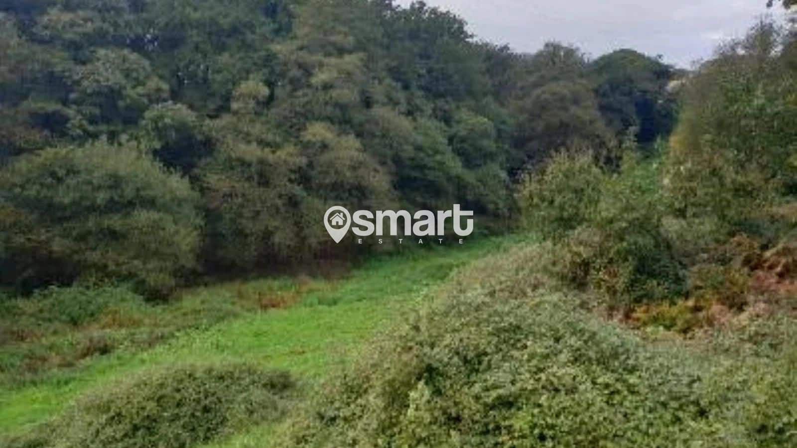 Bouwgrond te koop in Aviles - € 21.600 (Ref: 8706207)