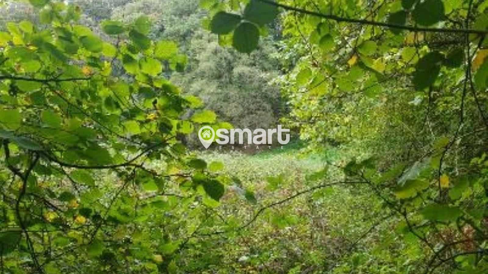 Bouwgrond te koop in Aviles - € 21.600 (Ref: 8706207)