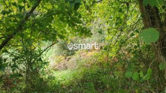 Tomt till salu i Avilés - 21 600 € (Ref: 8706207)