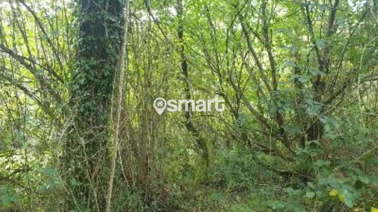 Bouwgrond te koop in Aviles - € 21.600 (Ref: 8706207)