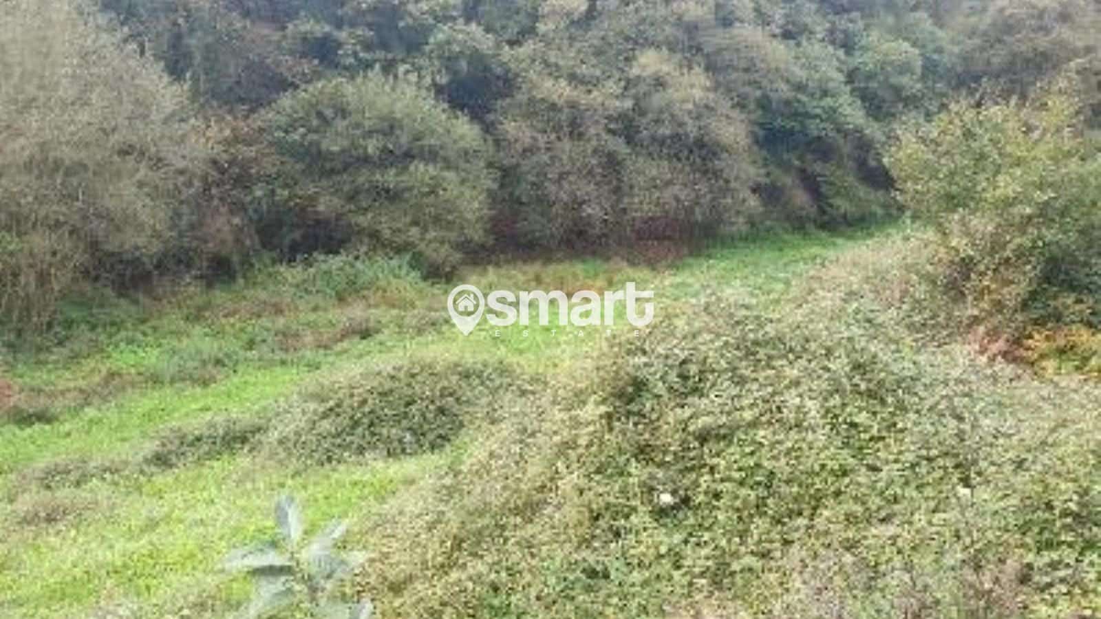 Bouwgrond te koop in Aviles - € 21.600 (Ref: 8706207)