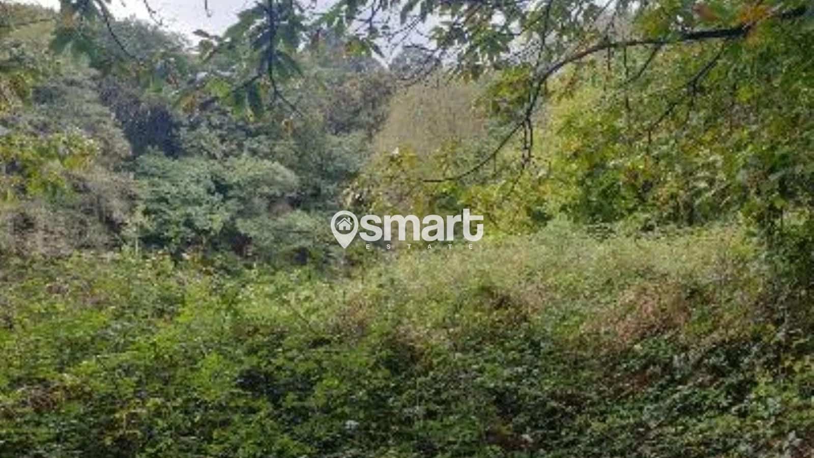 Bouwgrond te koop in Aviles - € 21.600 (Ref: 8706207)