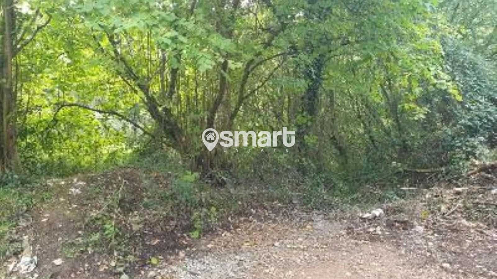 Bouwgrond te koop in Aviles - € 21.600 (Ref: 8706207)