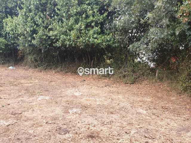 Tomt till salu i Grado - 28 000 € (Ref: 9187842)