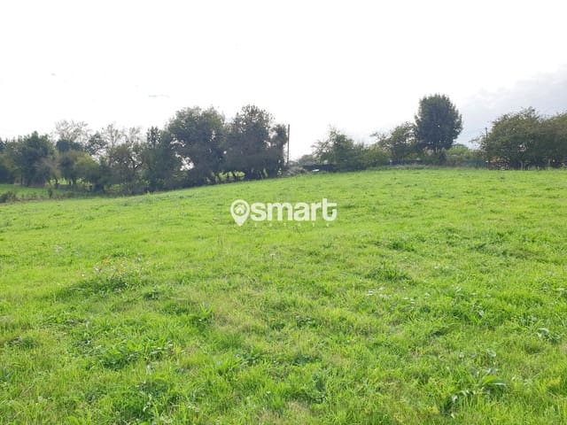 Bouwgrond te koop in Oviedo - € 350.000 (Ref: 9309272)