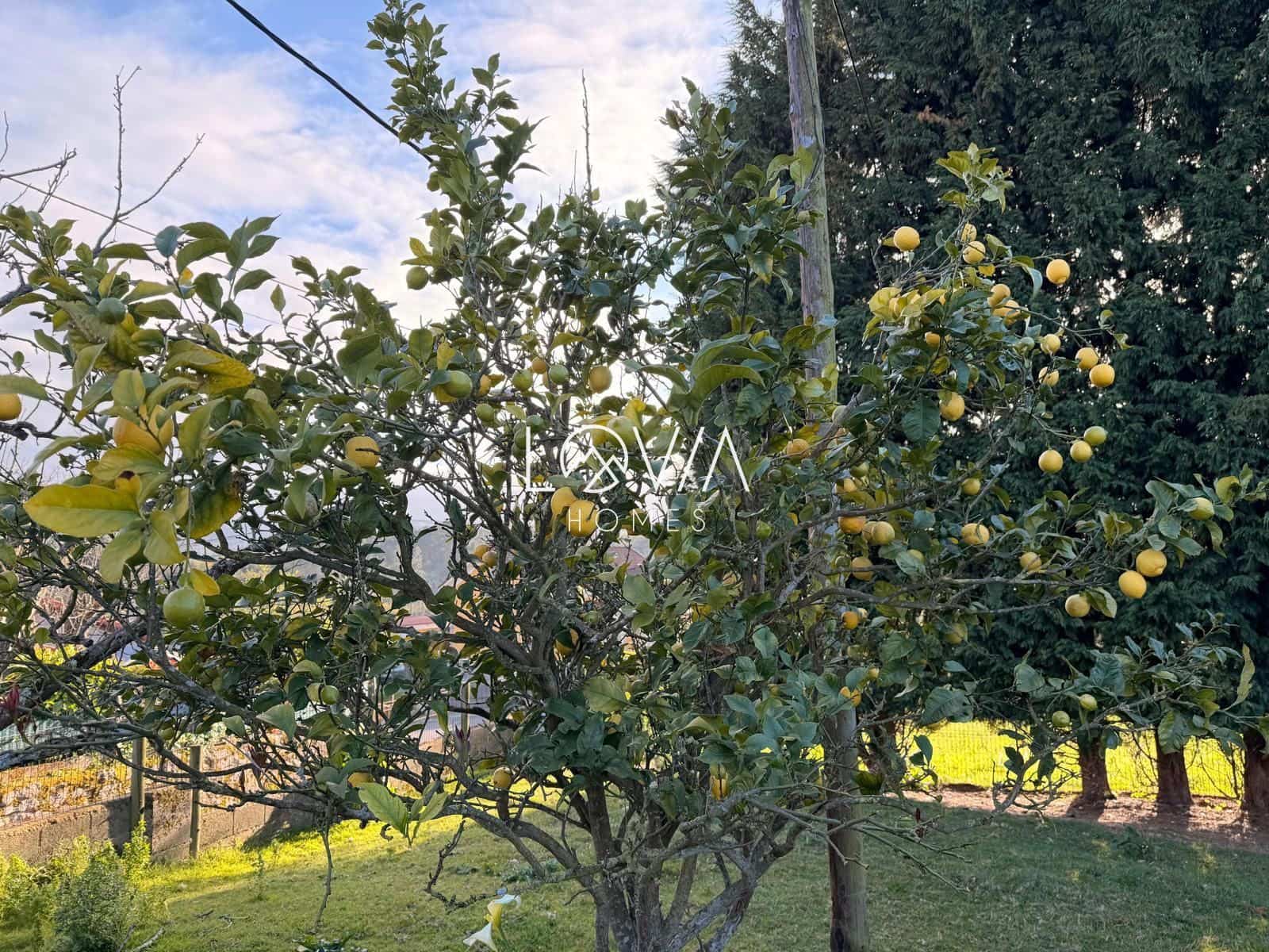 5 bedroom Villa for sale in Corvera de Asturias with garage - € 549,900 (Ref: 9471010)