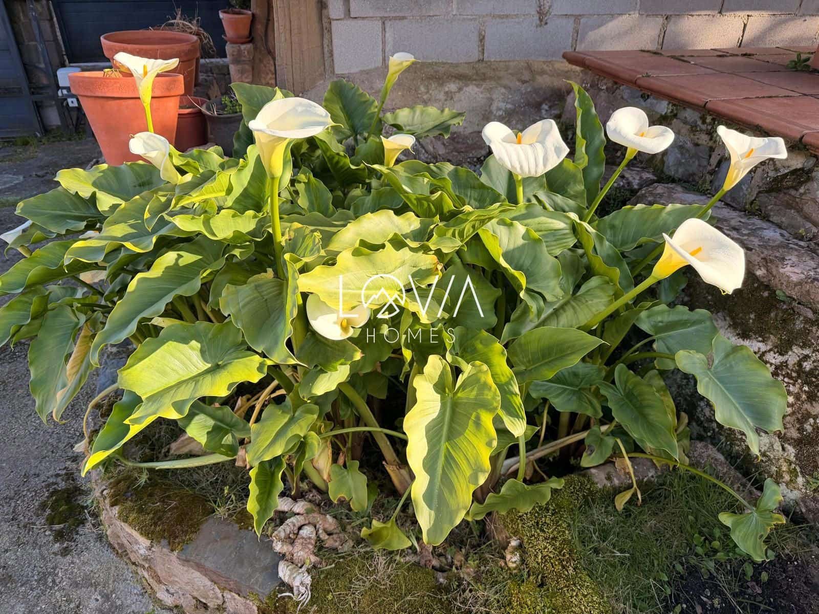 5 bedroom Villa for sale in Corvera de Asturias with garage - € 549,900 (Ref: 9471010)