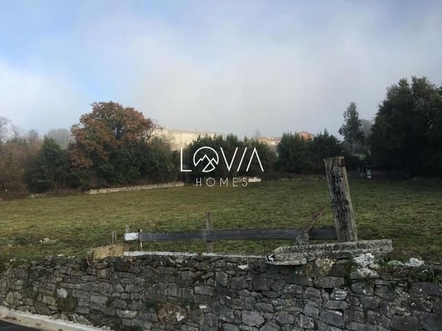 Tomt till salu i Soto del Barco - 165 300 € (Ref: 9806980)