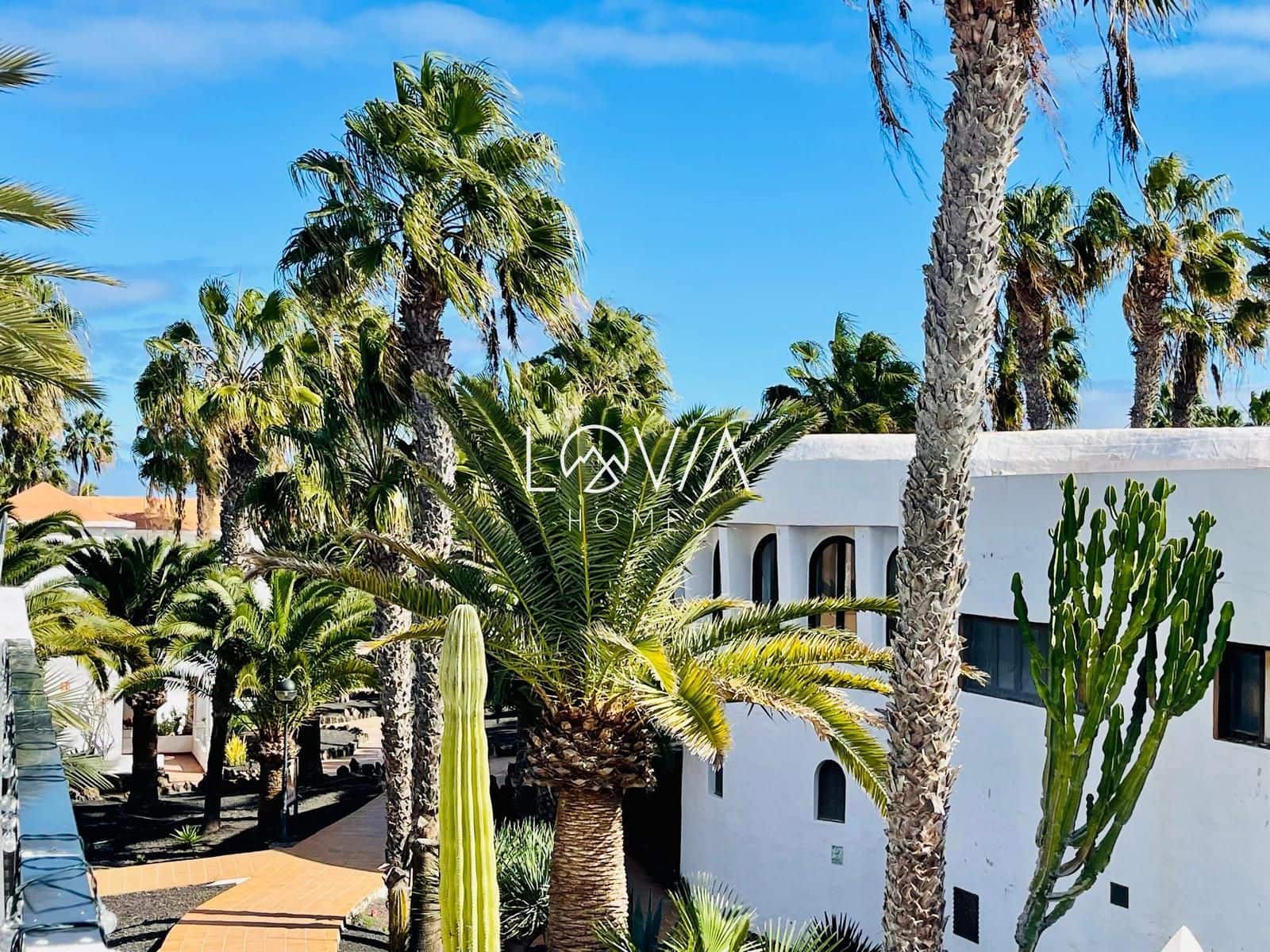 1 soverom Leilighet til leie i Corralejo med svømmebasseng - € 1 400 (Ref: 9827507)