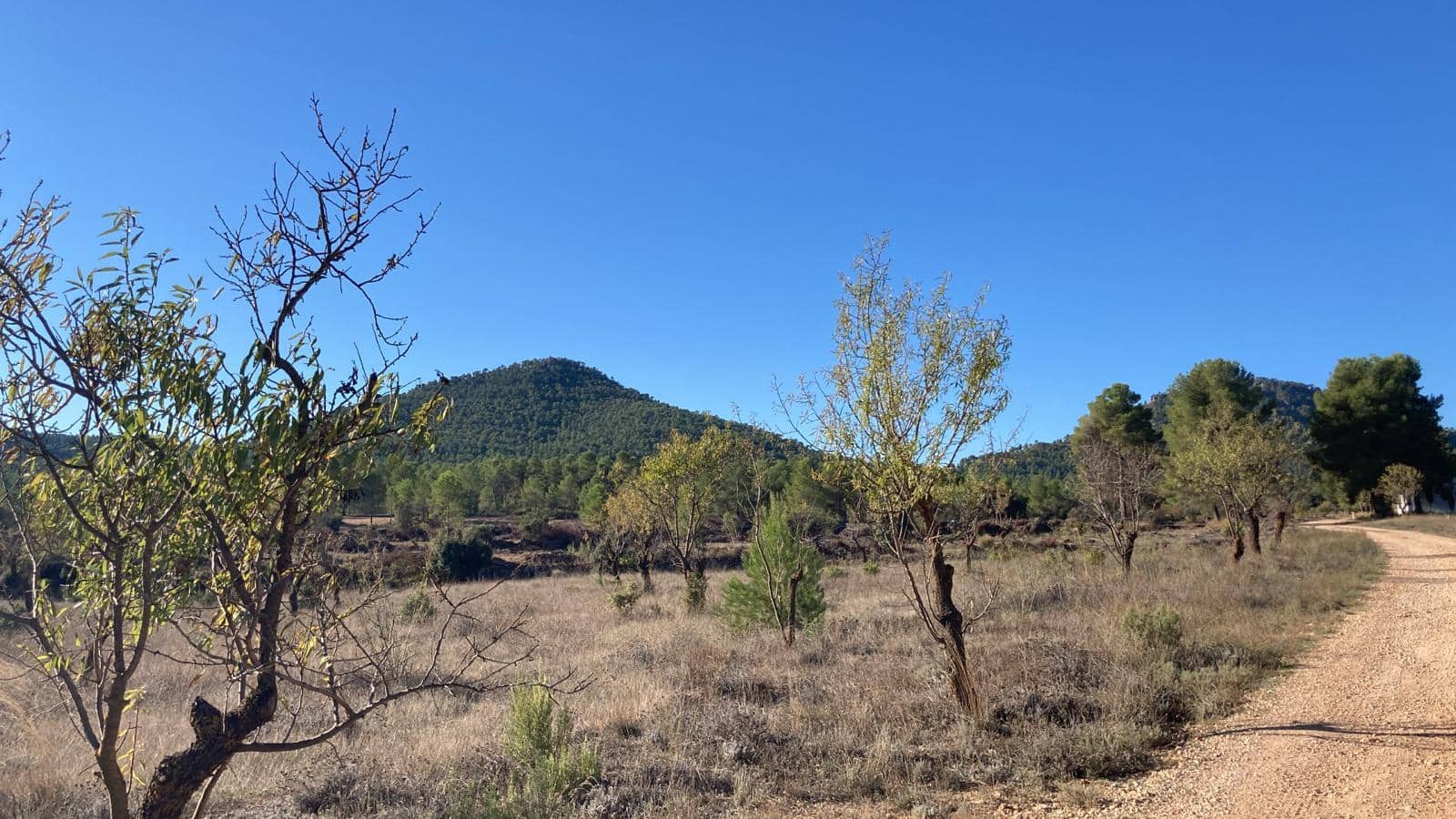 1 soveværelse Finca/Landehus til salg i Jarafuel med swimmingpool garage - € 65.000 (Ref: 7429731)