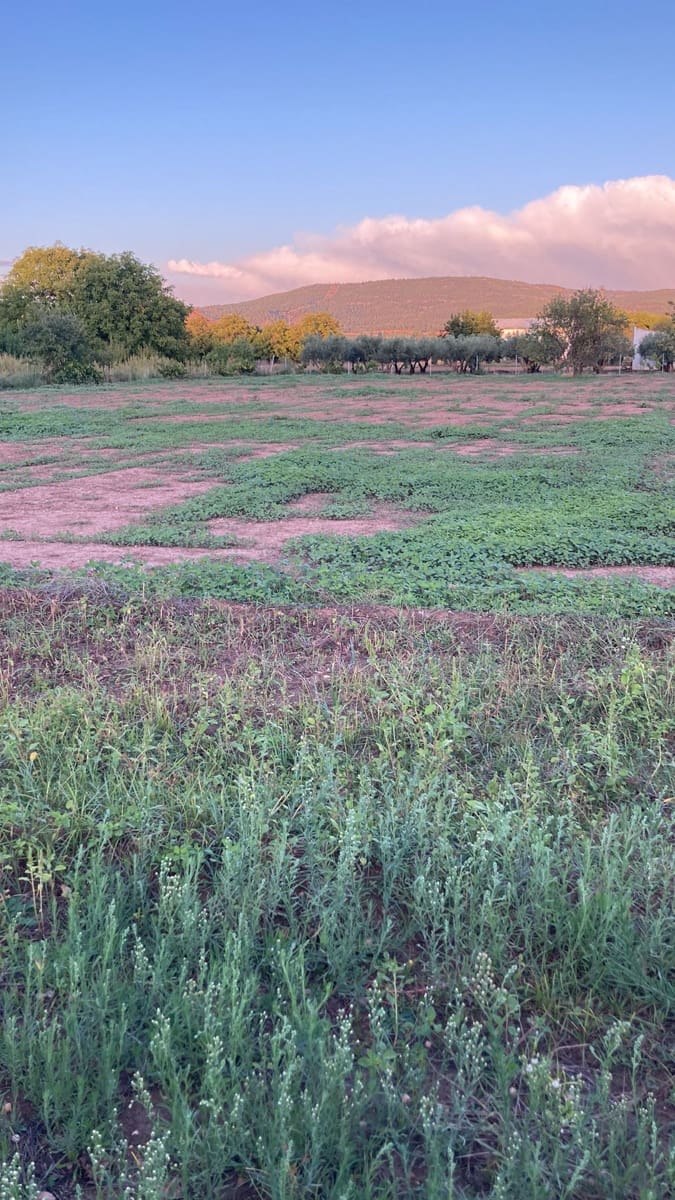 1 soveværelse Finca/Landehus til salg i Ayora - € 14.000 (Ref: 7431315)