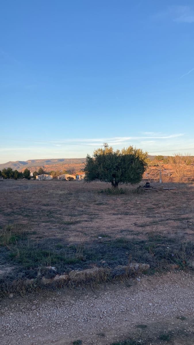 Ubebygd land til salgs i Ayora - € 23 000 (Ref: 8073129)