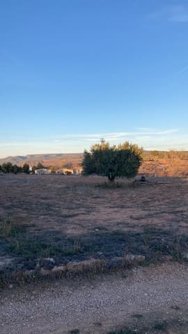 Grond te koop in Ayora - € 23.000 (Ref: 8073129)