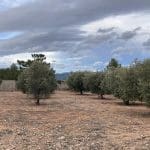 Grond te koop in Ayora - € 160.000 (Ref: 8281894)