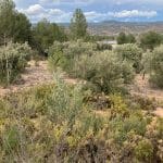 Grunde uden byggetilladelser til salg i Ayora - € 160.000 (Ref: 8281894)