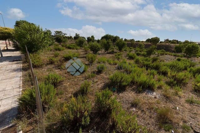 Teren niezagospodarowany na sprzedaż w Miasto Madryt - 1 100 000 € (Ref: 9021237)