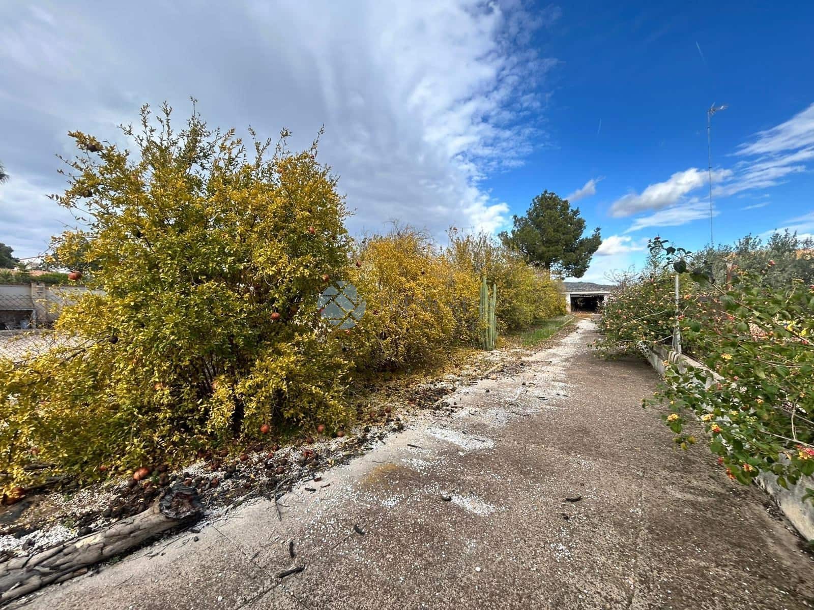 Grunde uden byggetilladelser til salg i Turis - € 27.500 (Ref: 9542102)