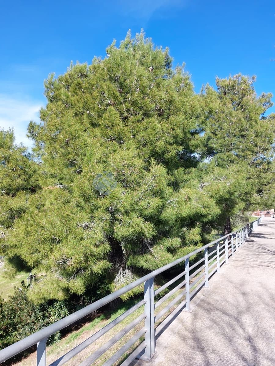 5 bedroom Penthouse for sale in Les Franqueses del Valles with garage - € 279,000 (Ref: 9592297)