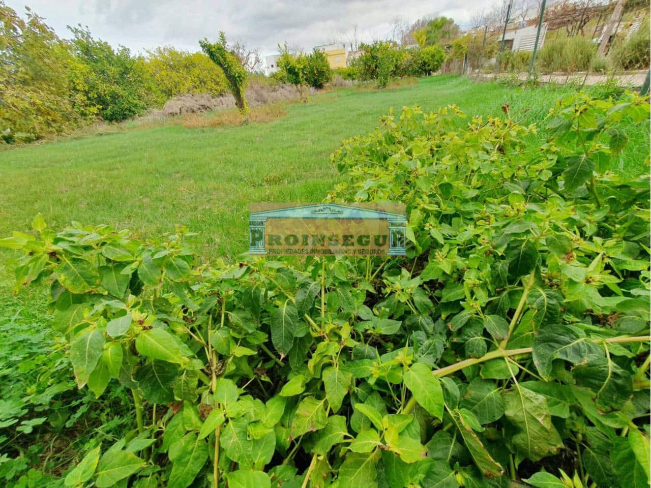 Undeveloped Land for sale in Alhaurin el Grande - € 42,000 (Ref: 9446879)