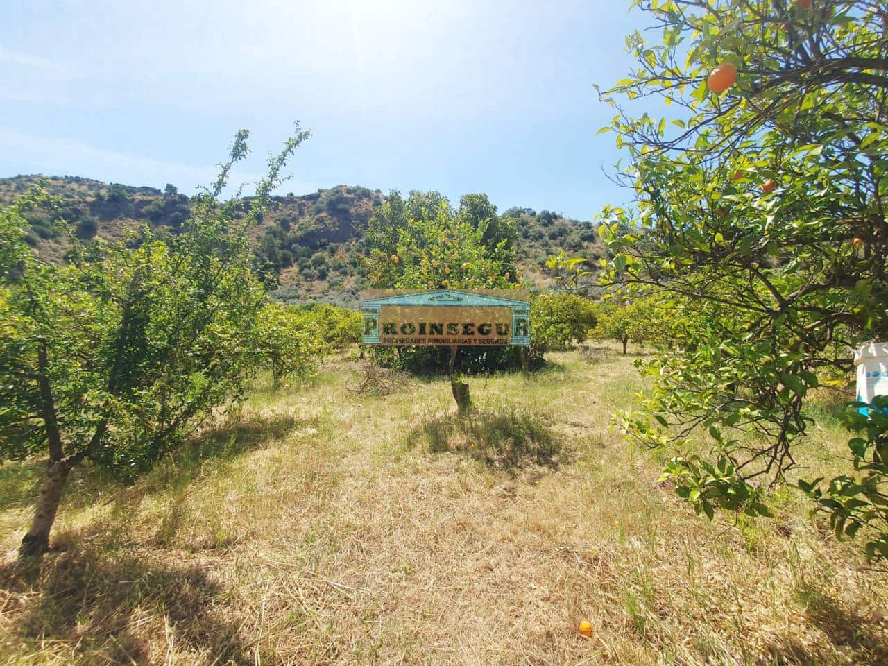 Undeveloped Land for sale in Ardales - € 65,000 (Ref: 9446880)