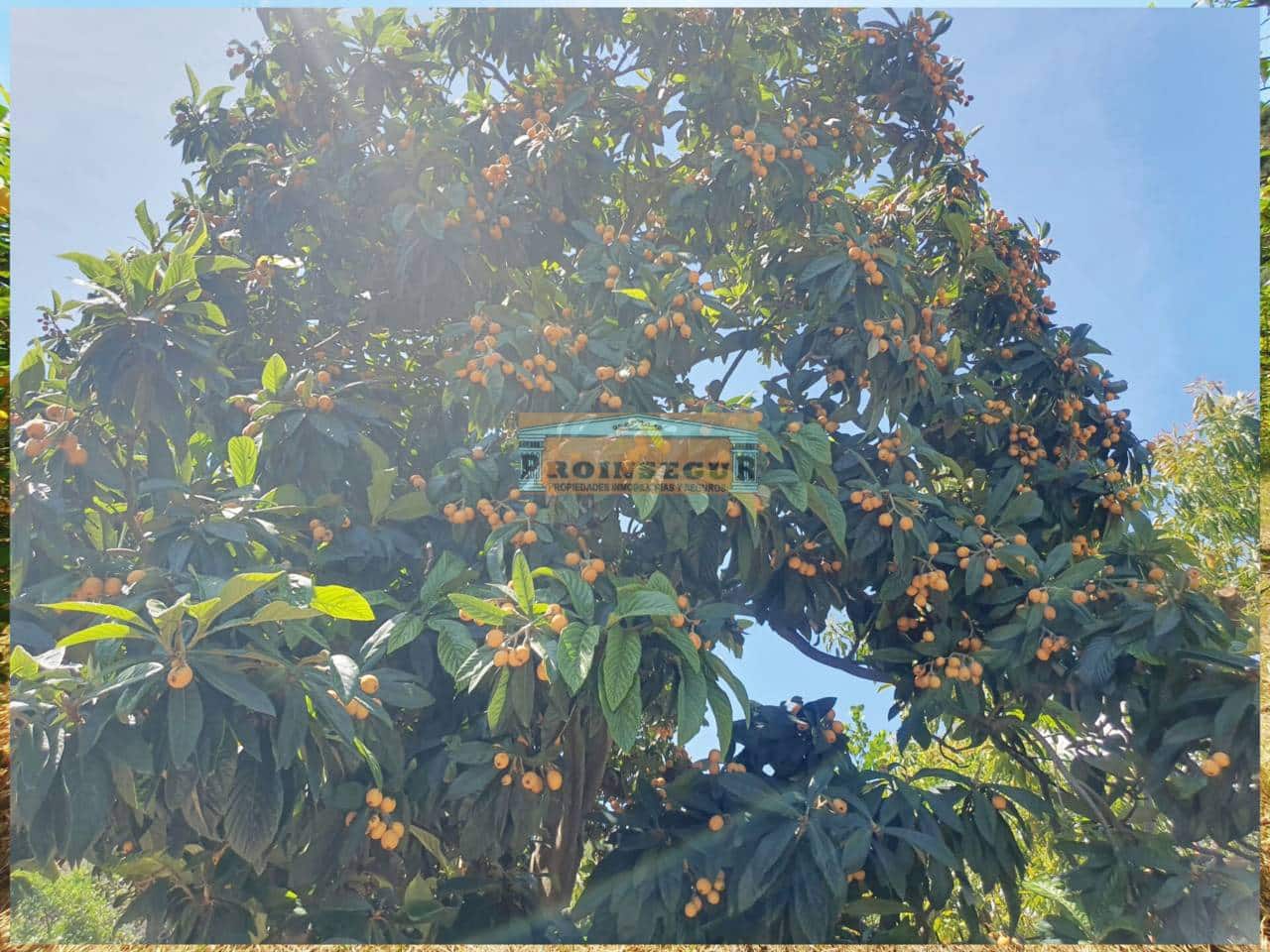 Undeveloped Land for sale in Ardales - € 65,000 (Ref: 9446880)