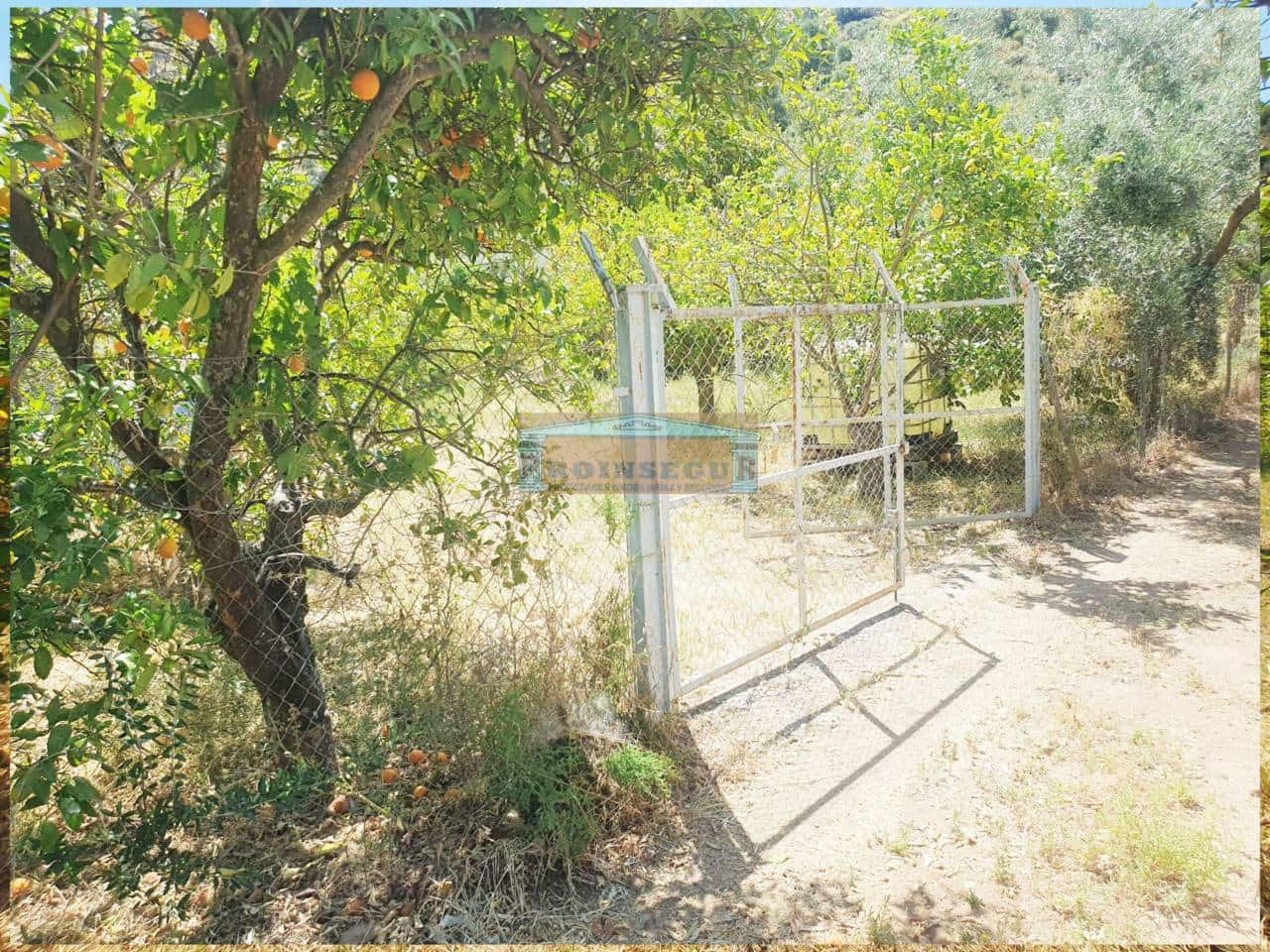 Undeveloped Land for sale in Ardales - € 65,000 (Ref: 9446880)