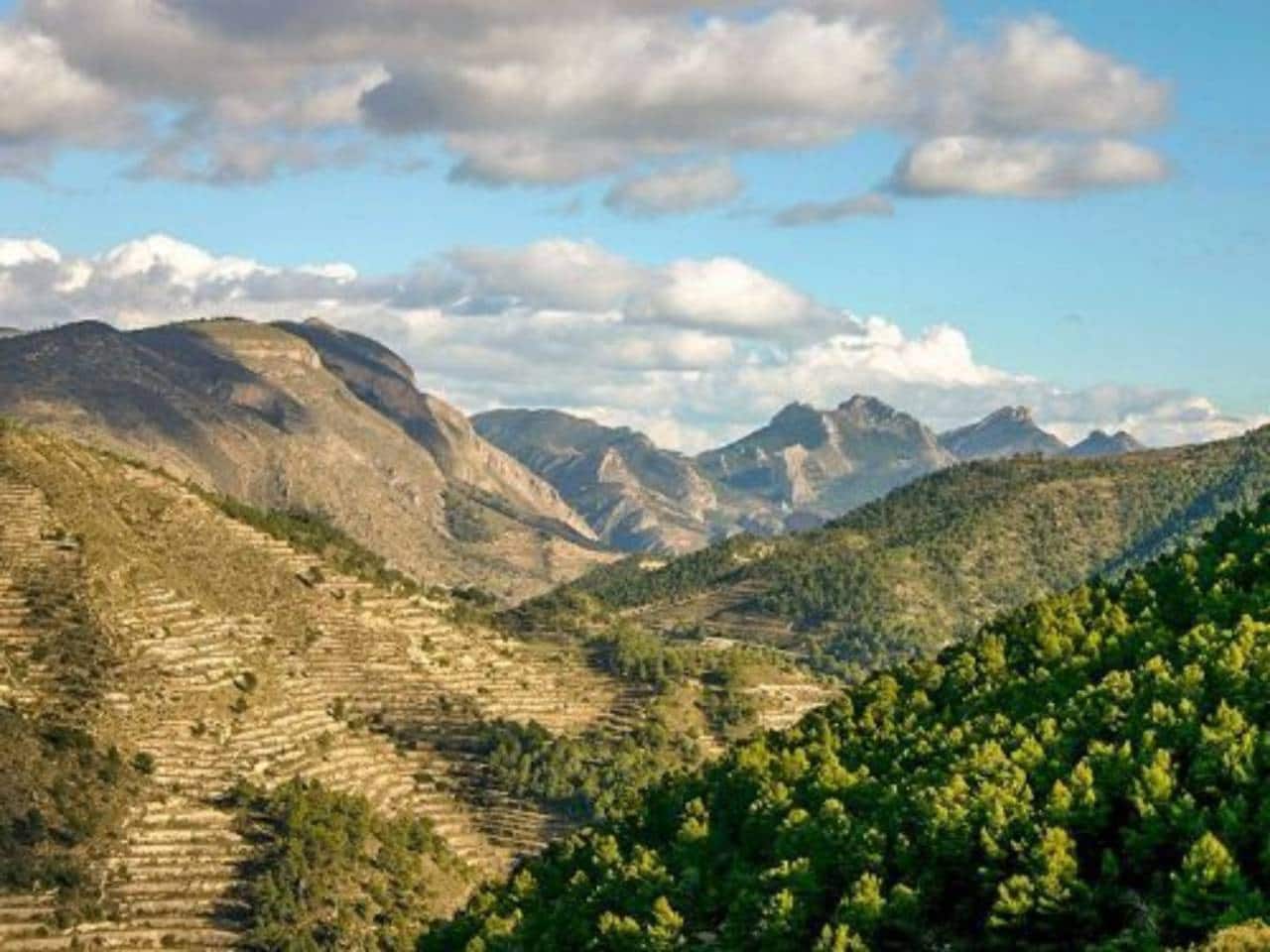 5 slaapkamer Villa te koop in Relleu met zwembad garage - € 2.150.000 (Ref: 5439970)