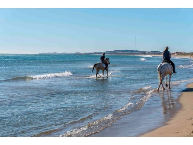 3 Zimmer Villa zu verkaufen in Elche / Elx mit Pool Garage - 491.260 € (Ref: 5442866)