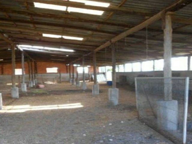 20 chambre Villa/Maison à vendre à Biar - 675 000 € (Ref: 5903863)