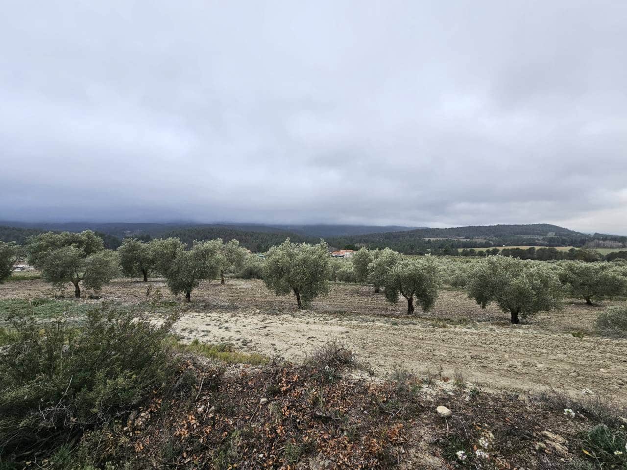 6 soveværelse Finca/Landehus til salg i Alcoy / Alcoi med garage - € 549.000 (Ref: 6347810)