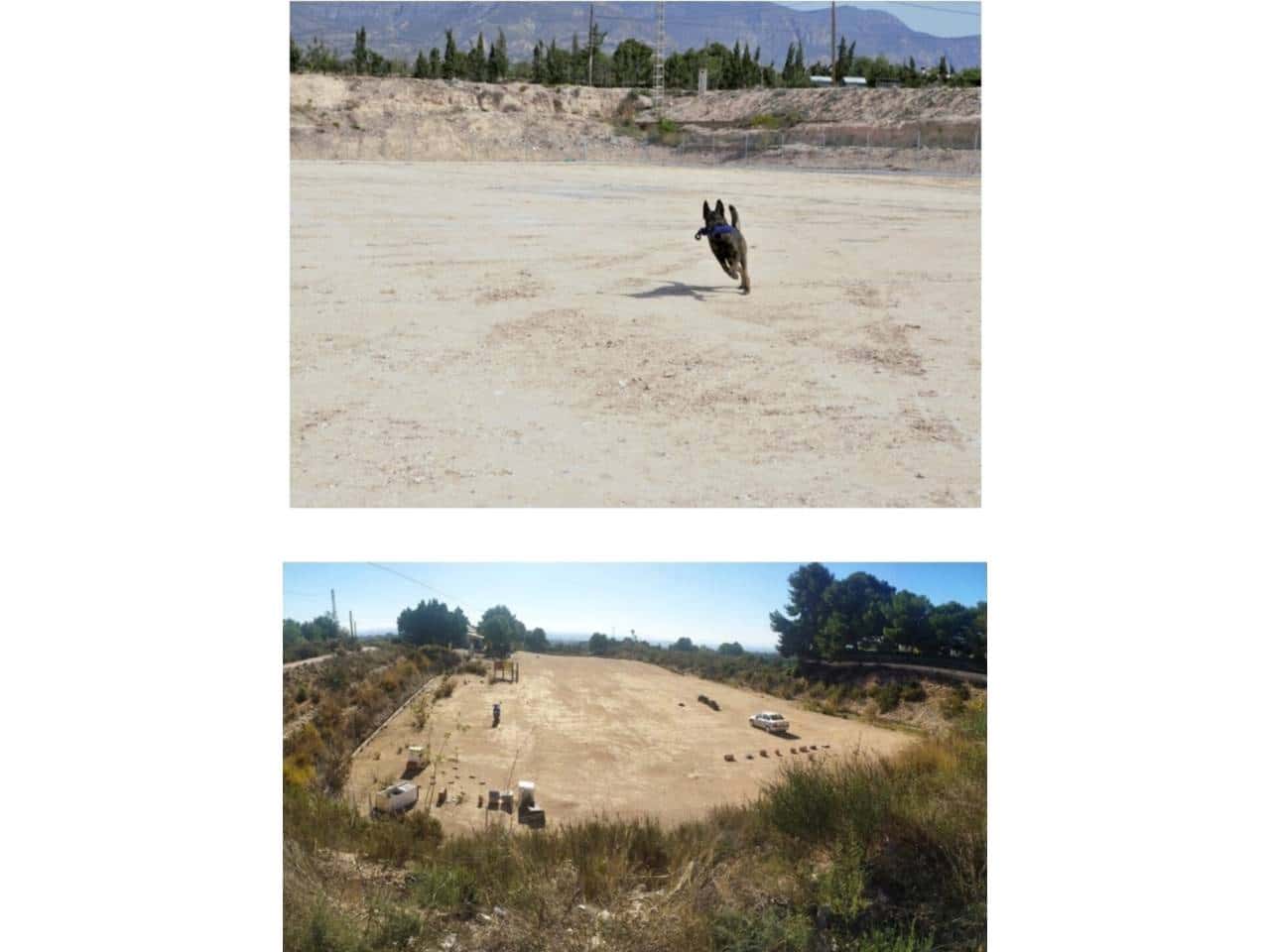 5 bedroom Finca/Country House for sale in Crevillente / Crevillent with pool garage - € 550,000 (Ref: 7627768)