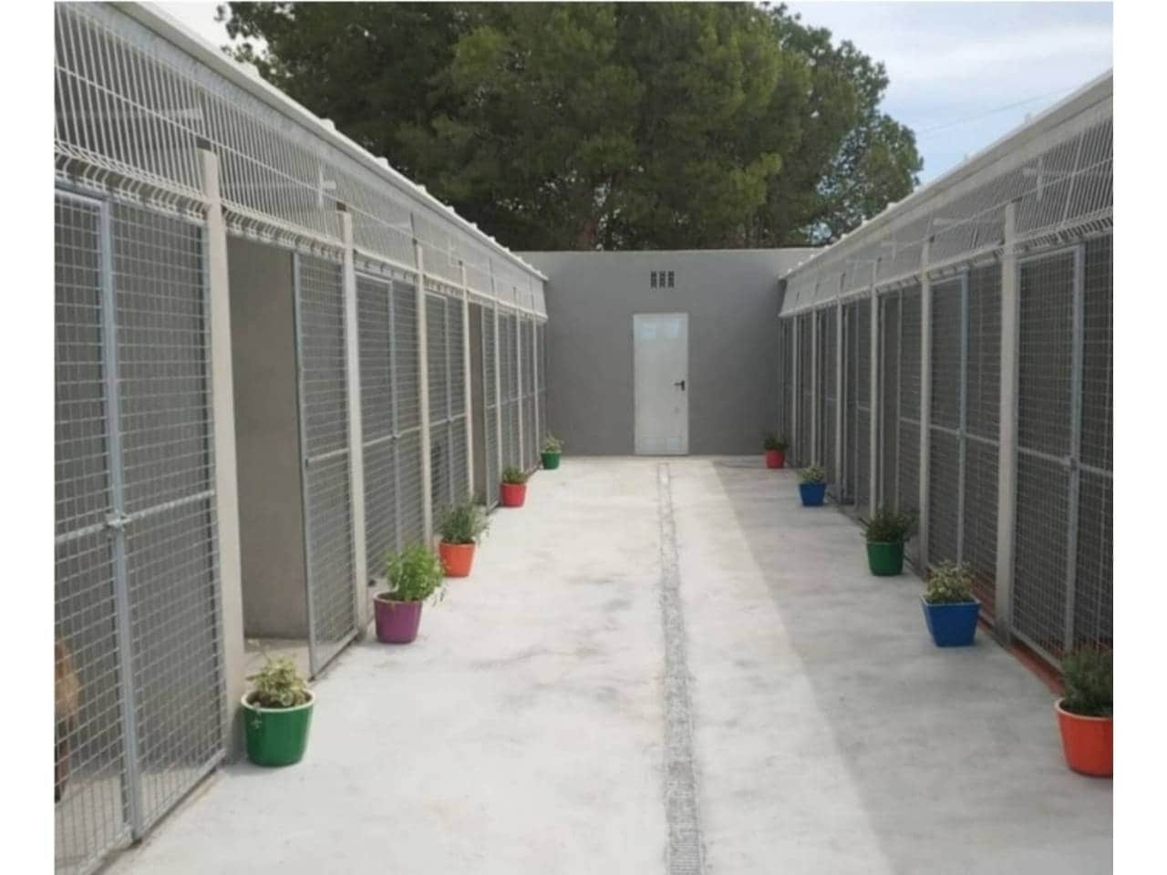 5 bedroom Finca/Country House for sale in Crevillente / Crevillent with pool garage - € 550,000 (Ref: 7627768)