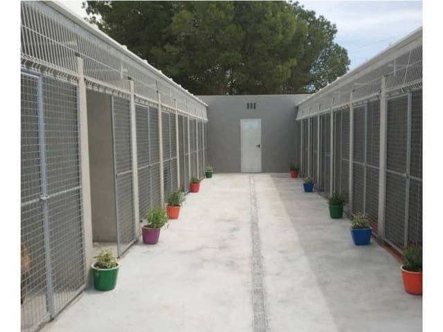 5 Zimmer Finca/Landgut zu verkaufen in Crevillente / Crevillent mit Pool Garage - 550.000 € (Ref: 7627768)